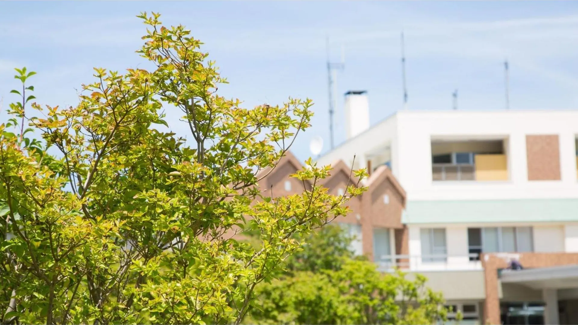 Hotel Keipu - Vacation Stay 11139V 函馆